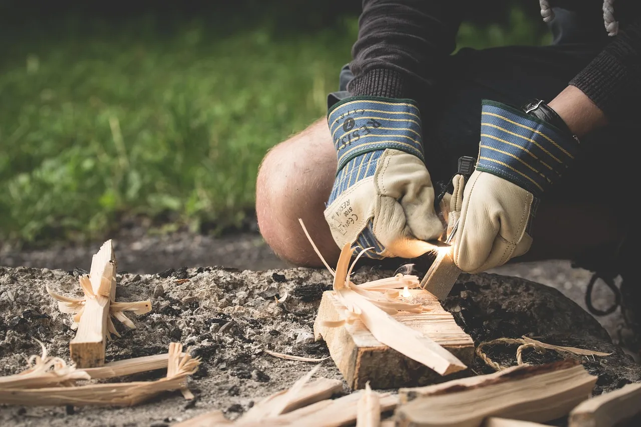 Wood Sheds and Unprotected Structures (Image Credits: Pixabay)