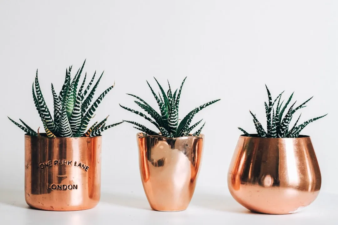 Not All Unmarked Planters Are Worthless (Image Credits: Unsplash)