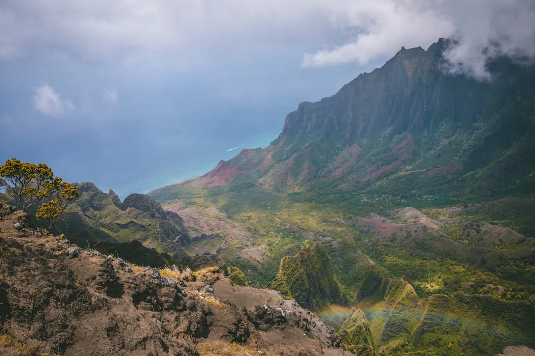 The Case for Exploring Beyond the Famous Names (Image Credits: Unsplash)