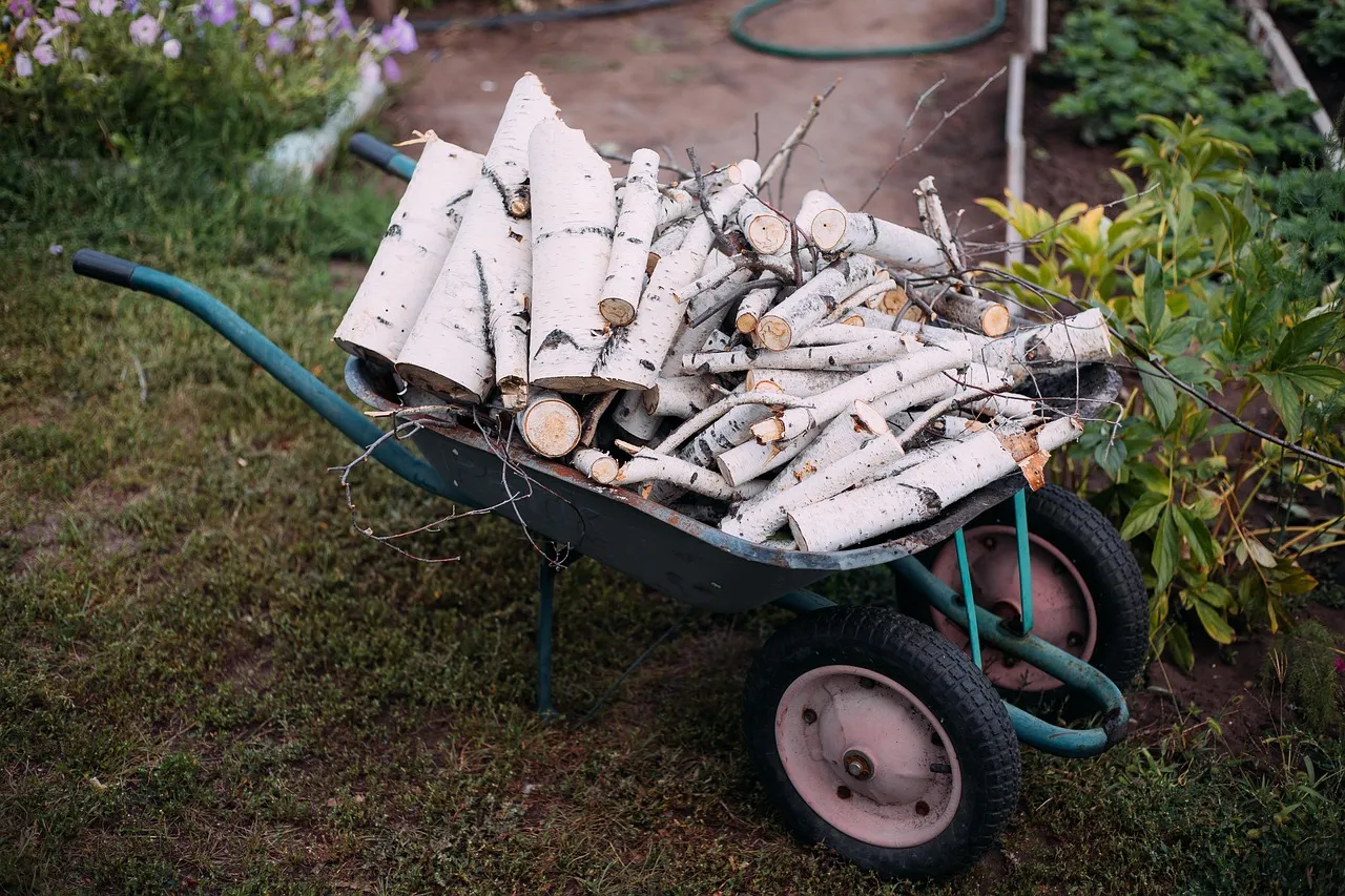 How People Are Actually Restoring Them (Image Credits: Pixabay)