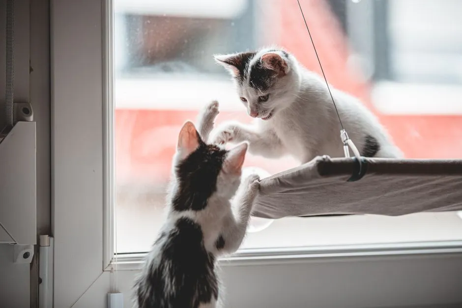 Forcing a Daytime-Centered Play Schedule (Image Credits: Pexels)