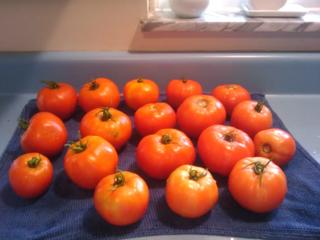It Might Not Be a Problem at All: The Determinate Variety Factor (Chris Winters, Flickr, CC BY-SA 2.0)