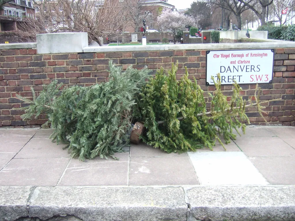 Discarded Trees Outside Are Also a Problem (wetwebwork, Flickr, CC BY-SA 2.0)