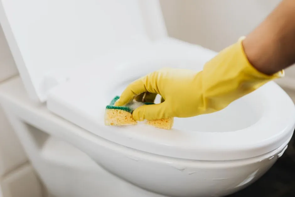 A More Useful Way to Think About Germs (Image Credits: Pexels)