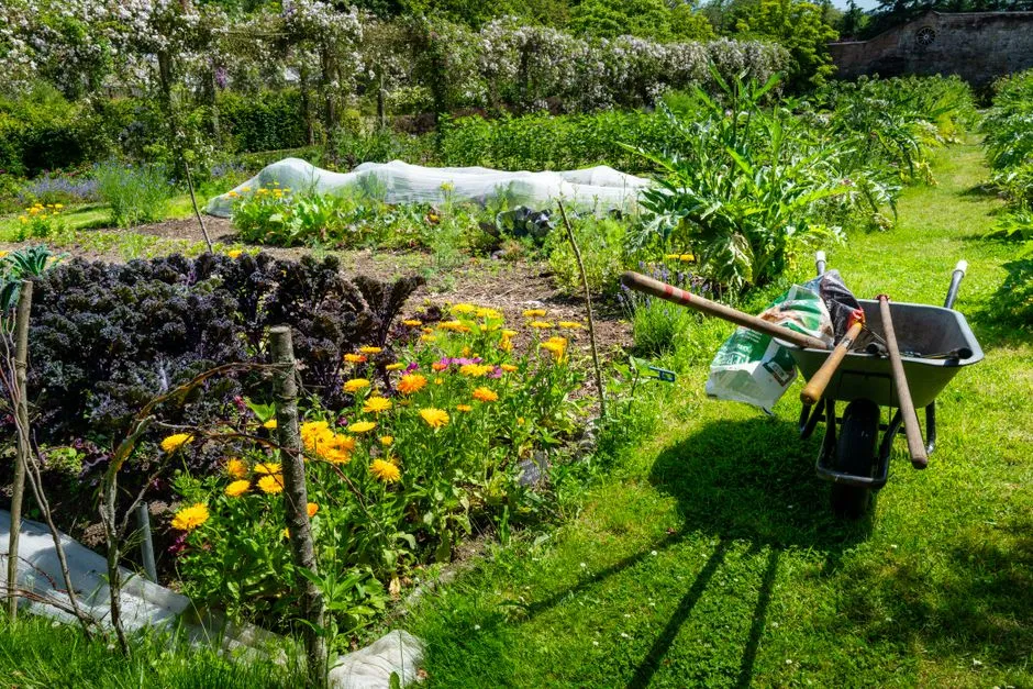 9. Biodiversity in the Garden Is Its Own Kind of Medicine (Image Credits: Pexels)