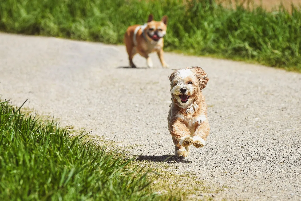 What Science and Technology Are Revealing Now (Image Credits: Pixabay)