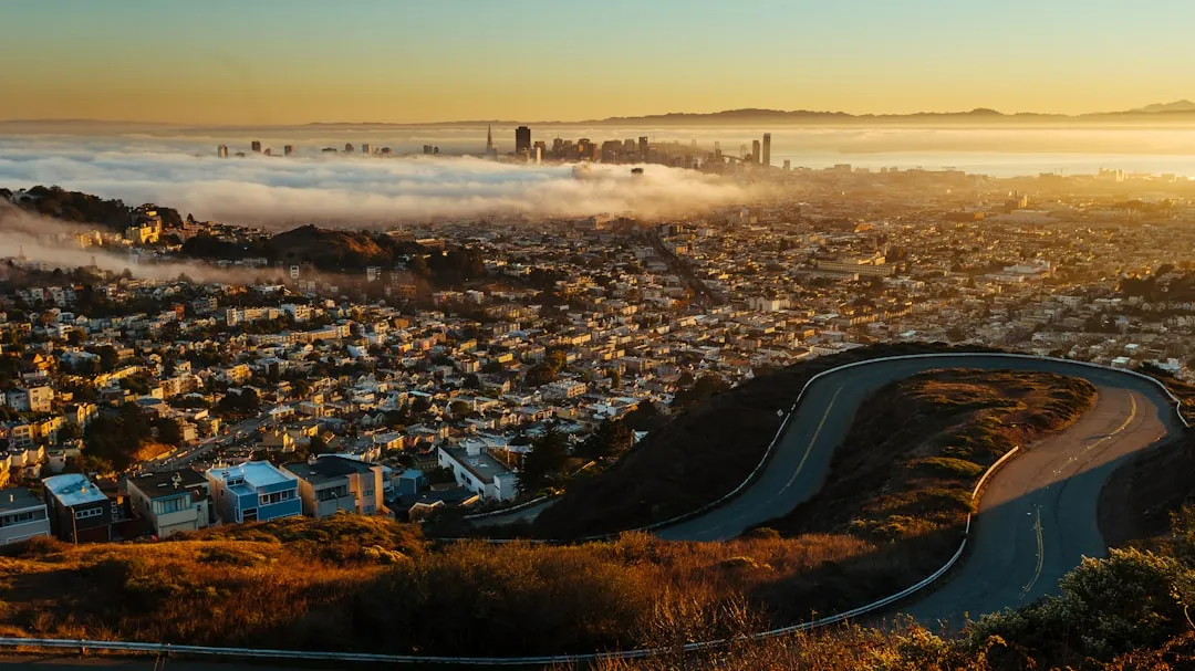 Why San Francisco's Fog Makes Gardening So Different (Image Credits: Unsplash)