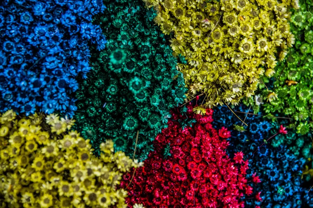 A Phenomenon Hiding in Plain Sight (Image Credits: Unsplash)