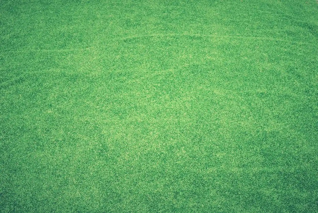 3. Artificial Grass as a Budget Solution (Image Credits: Pixabay)