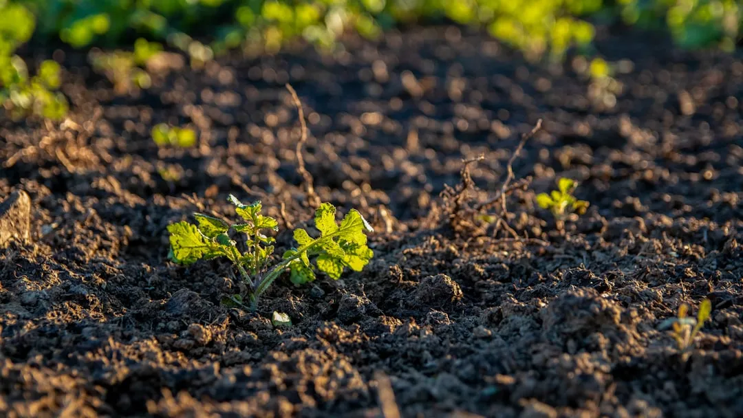 The Warning From Soil Scientists (Image Credits: Unsplash)
