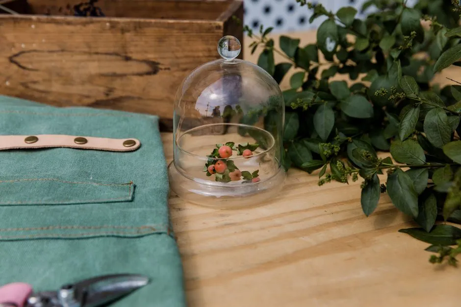 Where to Find Genuine Pressed-Glass Cloches (Image Credits: Pexels)