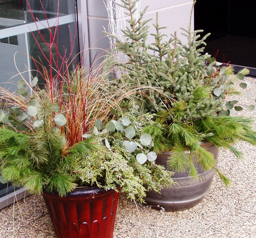 Grouping Pots Together Amplifies the Effect (Field Outdoor Spaces, Flickr, CC BY 2.0)