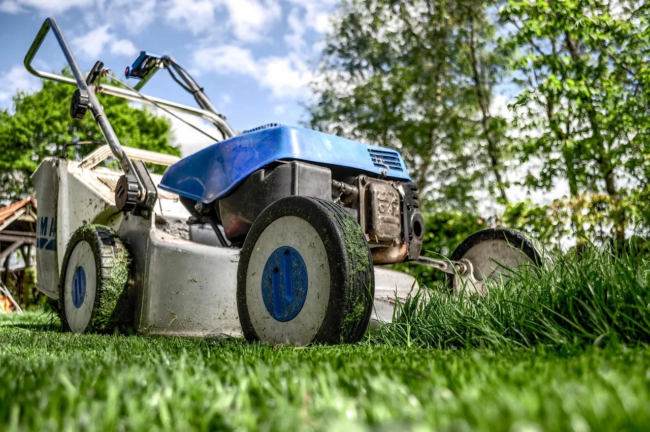 The Front Yard Has Always Been a Statement (Image Credits: Pixabay)