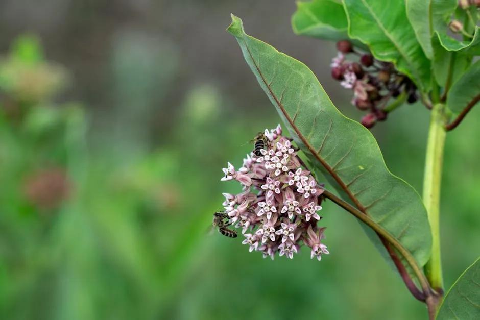 3. Swamp Milkweed (Asclepias incarnata): The Wet Garden Champion (Image Credits: Pexels)