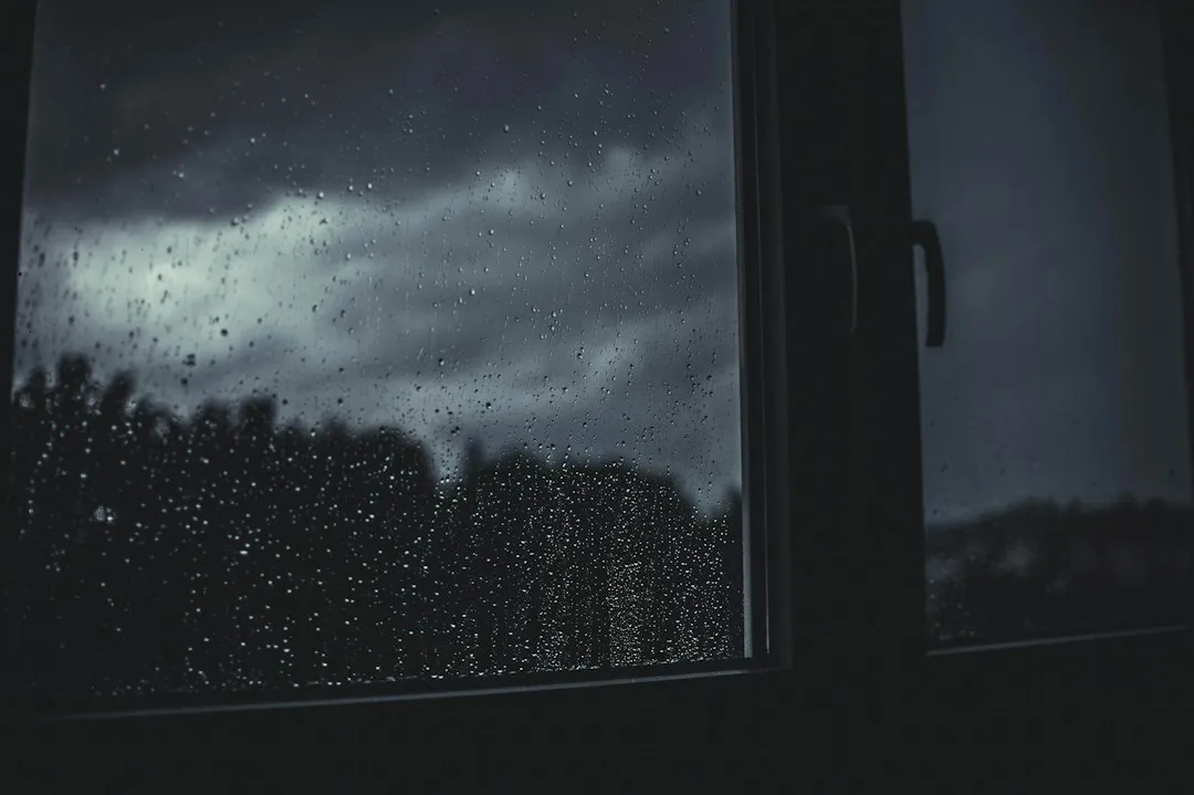 Rain Sounds Act as a Natural Sedative (Image Credits: Unsplash)