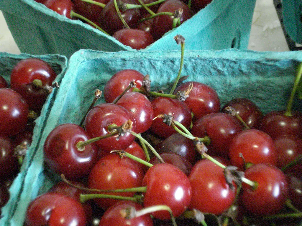 1. Tart Cherries (YoAmes, Flickr, CC BY-SA 2.0)