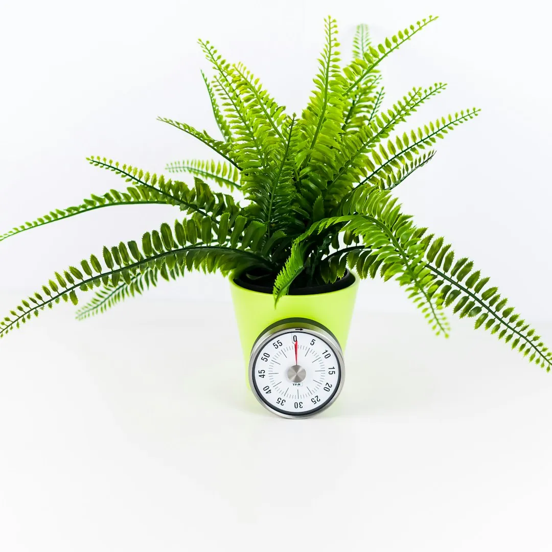 The Internal Clock That Drives It All (Image Credits: Unsplash)