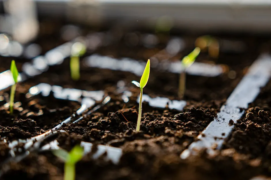 Legumes Do the Heavy Lifting on Nitrogen (Image Credits: Pexels)