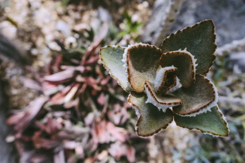 The Takeaway (Image Credits: Pexels)