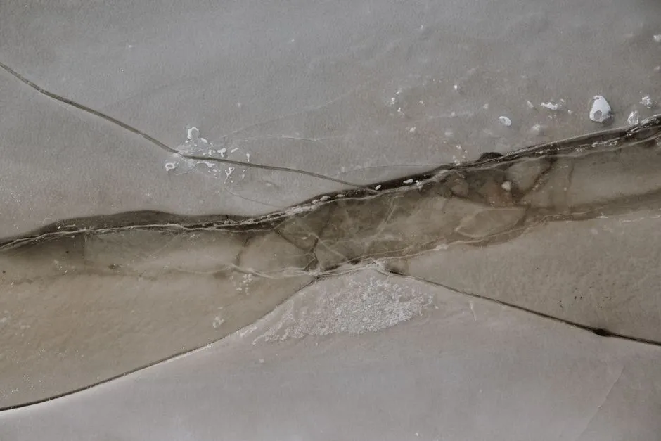 Can the Damage Be Repaired? (Image Credits: Pexels)