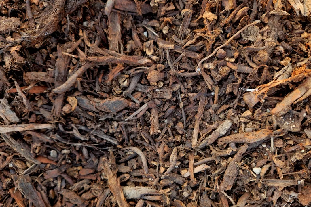 Recycled Wood: Where the Risk Really Lives (Image Credits: Unsplash)