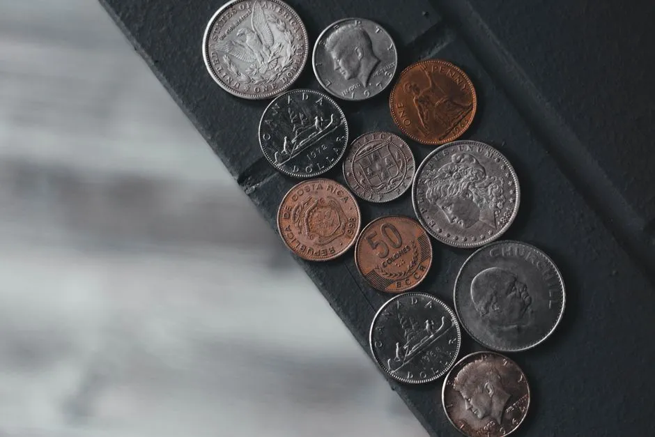 How to Get Your Coins Professionally Graded (Image Credits: Pexels)