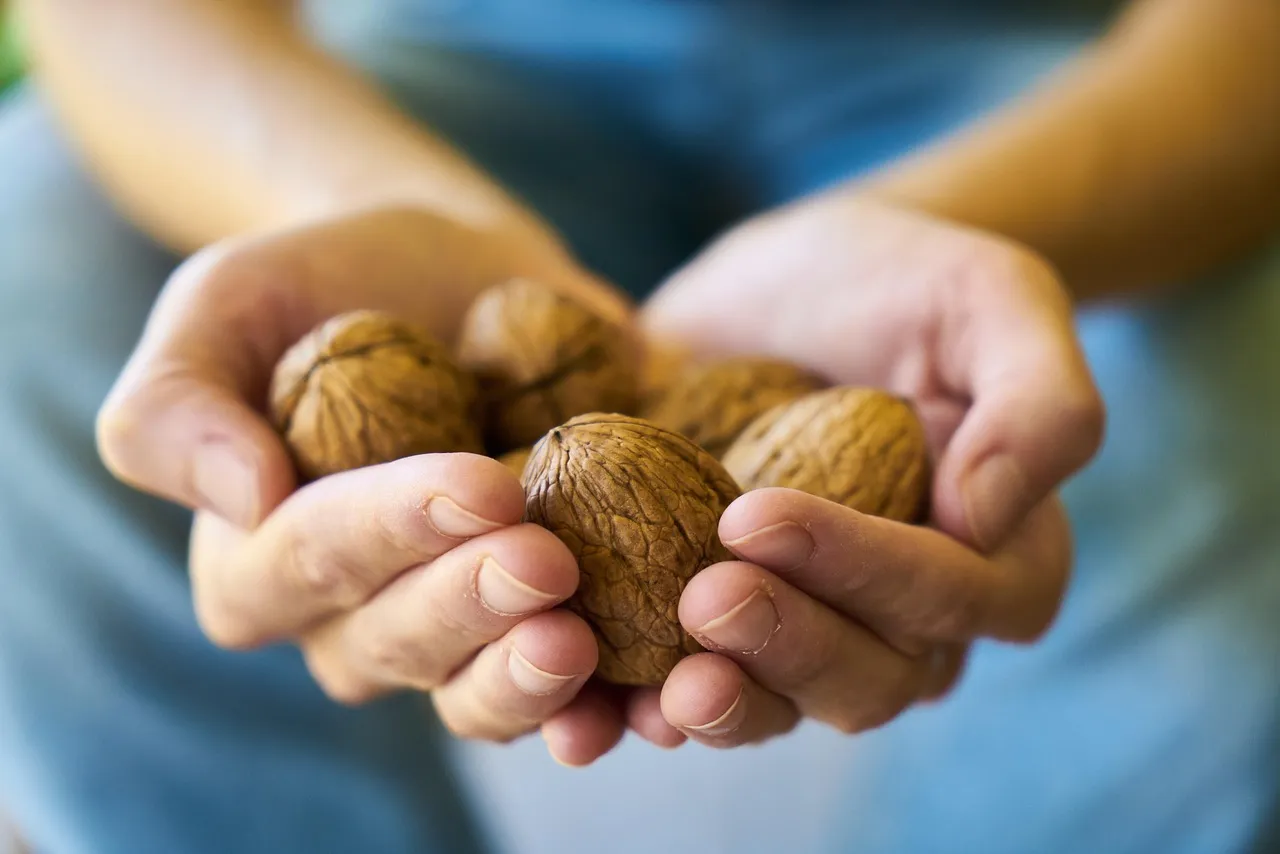 4. Nuts: A Small Handful, a Real Difference (Image Credits: Pixabay)