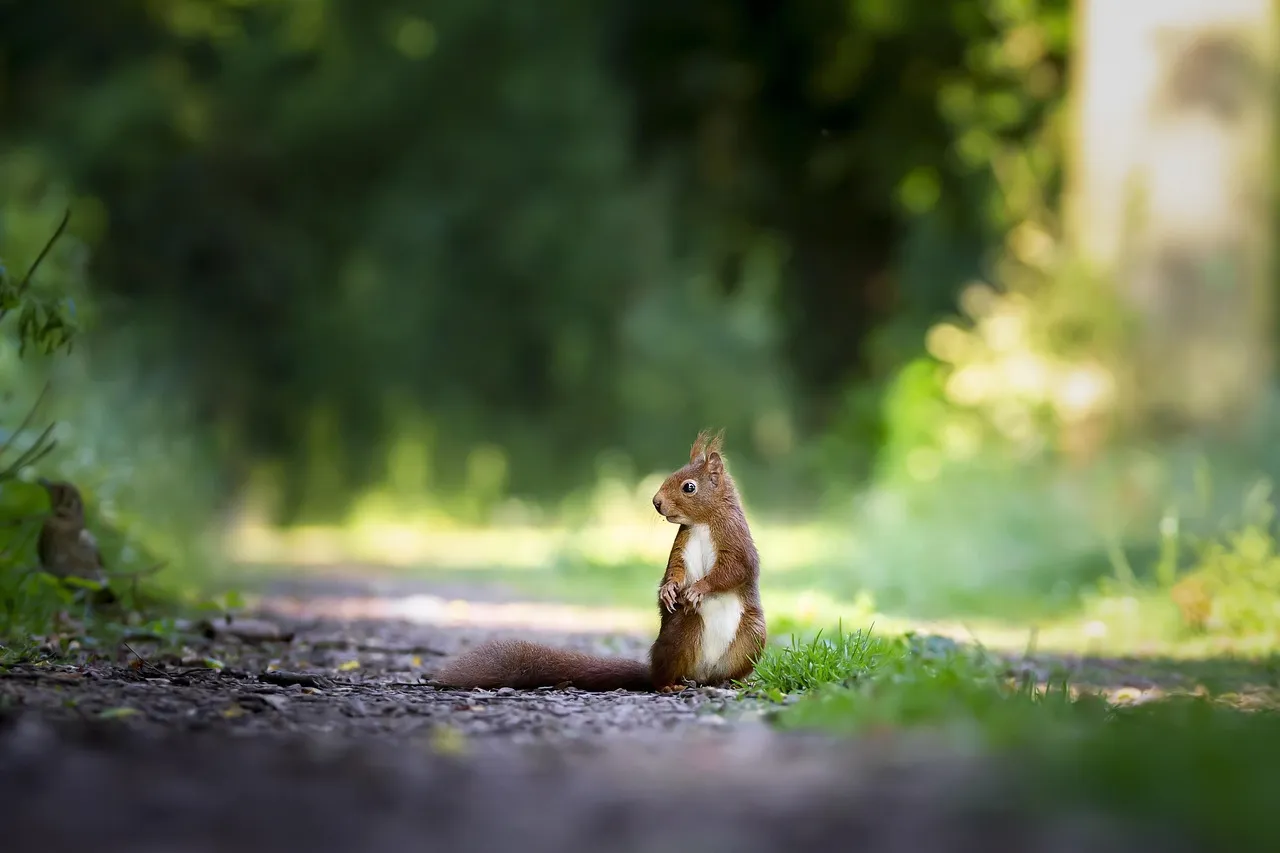 4. Spending Time Outdoors as a Default (Image Credits: Pixabay)