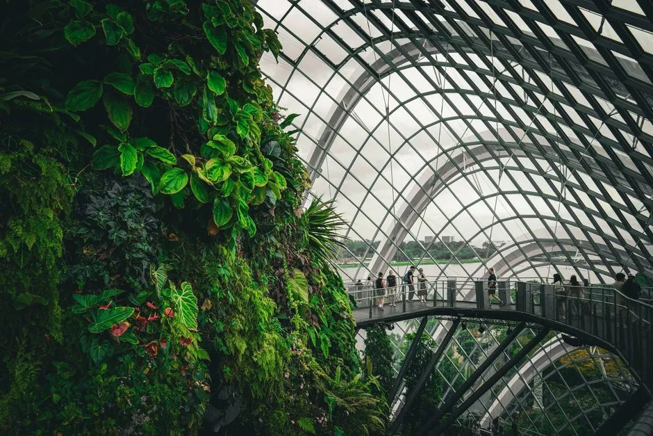 Could a Rediscovered Underground Greenhouse Actually Be Used Again? (Image Credits: Pexels)
