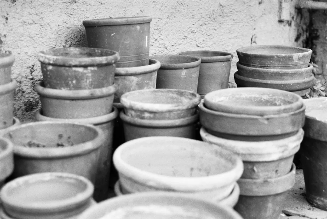 The Bleach Method: The Most Reliable Disinfection (Image Credits: Unsplash)