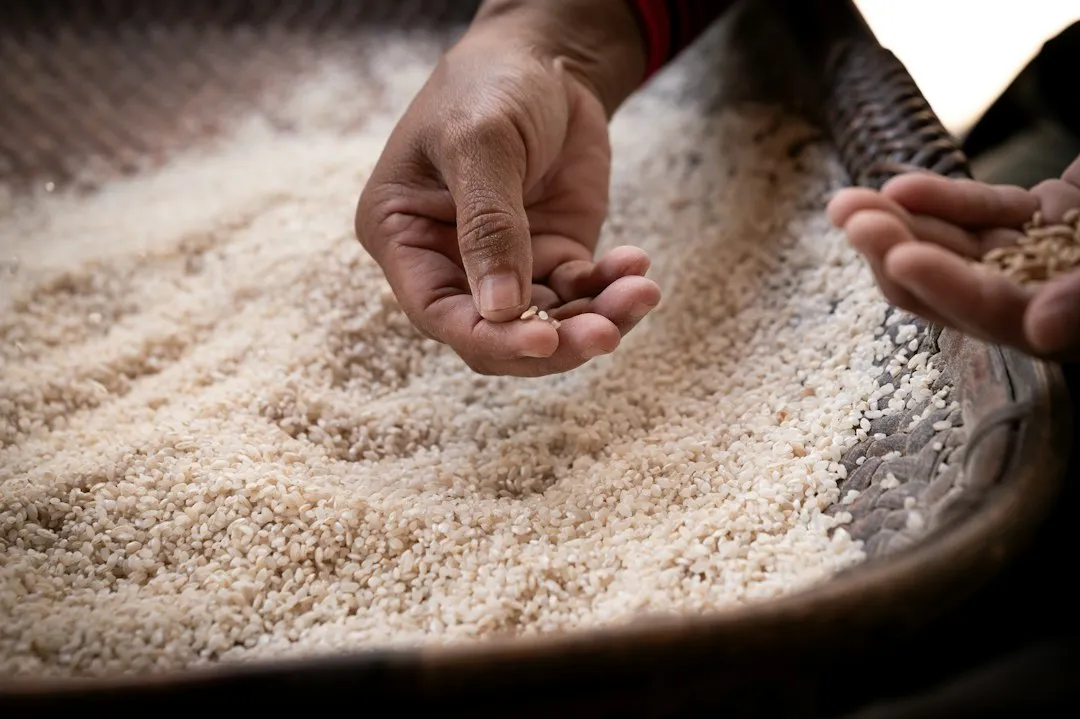 The Nutrient Loss That Rinsers Often Don't Know About (Image Credits: Unsplash)