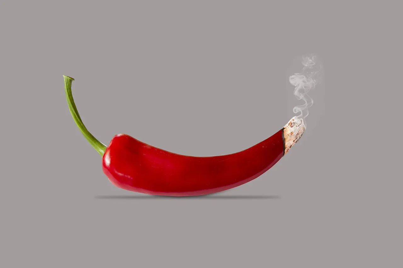 Why Professional Chefs Won't Cook Without It (Image Credits: Pixabay)