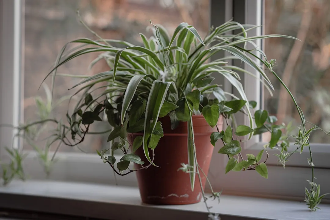 The Science Behind "Stress Responses" in Plants (Image Credits: Unsplash)
