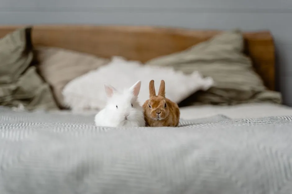 When Thumping Becomes a Concern (Image Credits: Pexels)