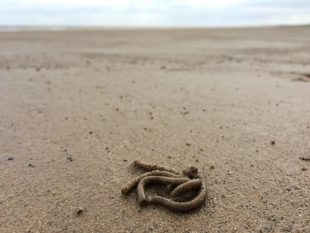 The Ecological Damage They Cause (s1ng0, Flickr, CC BY-SA 2.0)