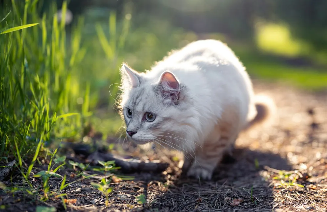 It Starts With the Predator Blueprint (Image Credits: Unsplash)