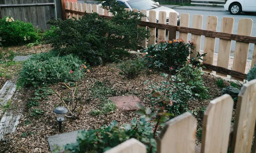 Front Yard Fences That Are Way Too Tall (Image Credits: Unsplash)