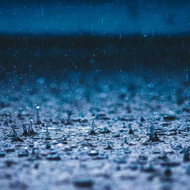 mPING: Crowdsourcing What Is Falling From the Sky (Image Credits: Pexels)