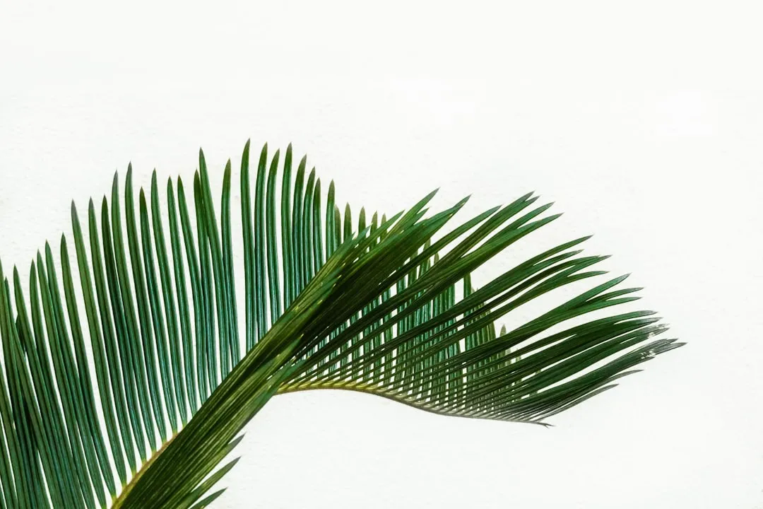 How Sago Palm Toxicity Progresses in Dogs (Image Credits: Unsplash)