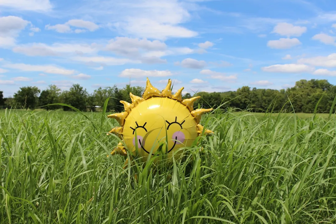 Matching Crops to Your Sun Zones (Image Credits: Unsplash)
