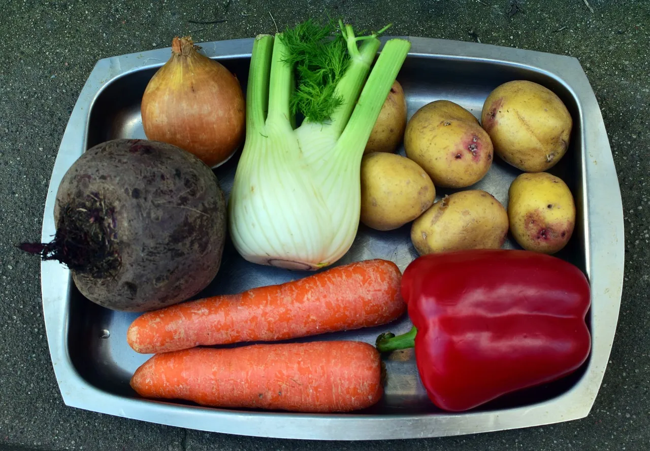 The Container Is Too Small for the Root System (Image Credits: Pixabay)
