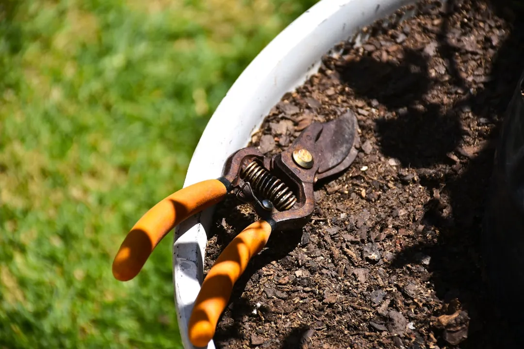 Mistake #1: Not Disinfecting Between Cuts or Between Plants (Image Credits: Unsplash)