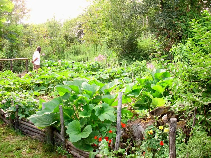 Where This Approach Came From (hardworkinghippy : La Ferme de Sourrou, Flickr, CC BY-SA 2.0)