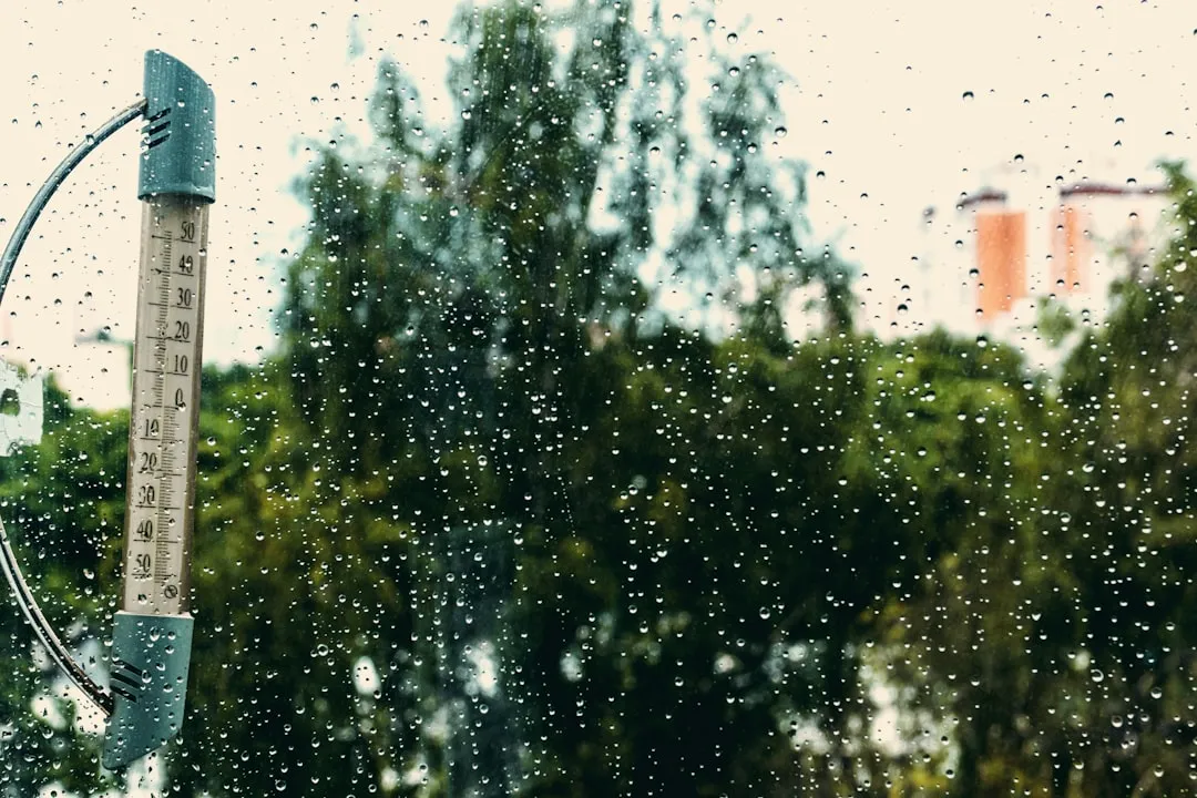 Rain Gauges Give You a Real Water Budget (Image Credits: Unsplash)