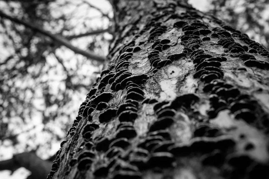 The Real Damage: What Happens If You Leave It (Image Credits: Pexels)
