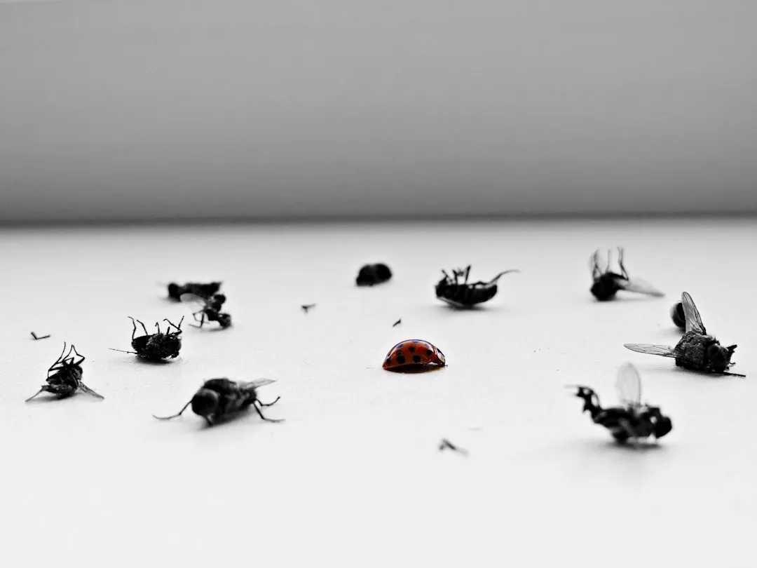 The Role of Pest Control in Keeping the System Intact (Image Credits: Unsplash)