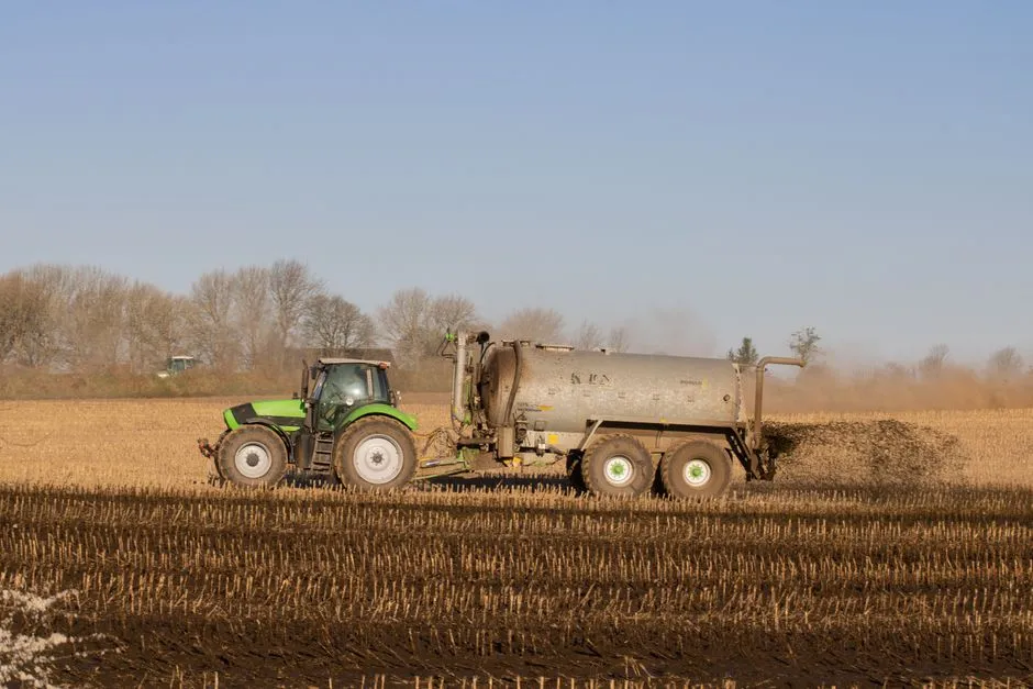 Carbon and Climate: An Unexpected Bonus (Image Credits: Pexels)