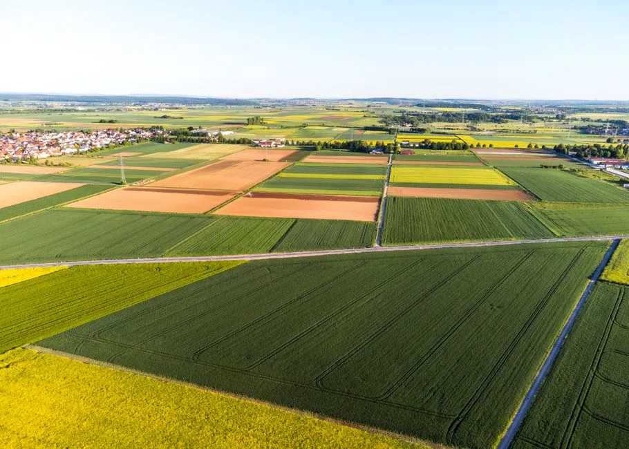 The Four-Field Rotation That Changed European Farming (Image Credits: Pexels)