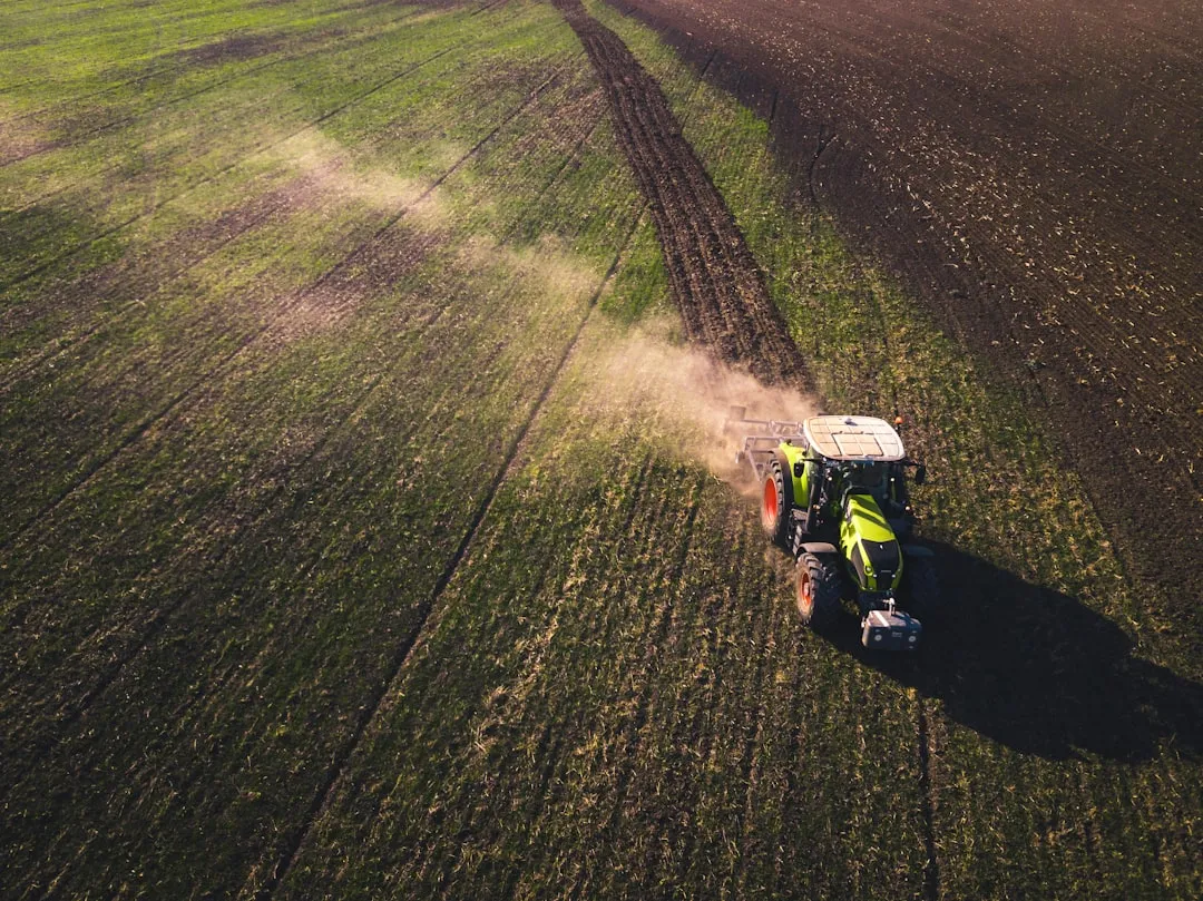 3. Fertilizing at the Wrong Time of Year (Image Credits: Unsplash)
