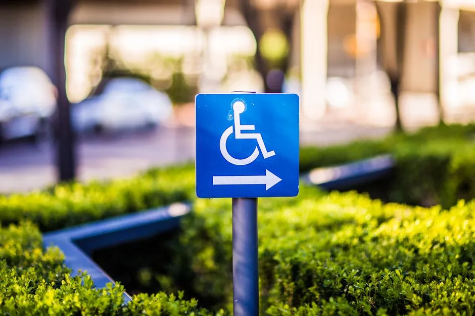 8. Rethink the Garden Layout for Flow and Safety (Image Credits: Pexels)